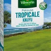 Castorama Gazon Kikuyu Vilmorin 500g pas cher 5