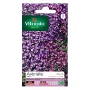 Castorama Graines D’Aubriétia Varié Vilmorin qualité supérieure 5