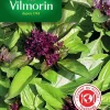 Castorama Graines De Basilic Thaï VL 2 marque pas cher 7
