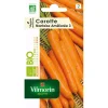 Castorama Graines De Carotte Nantaise Améliorée 3 Bio luxe soldes 5