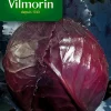 Castorama Graines De Chou Rouge Tête Noire 3 soldes en ligne 7