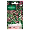 soldes magasin Castorama Graines De Clarkia Elégant Double Varié Vilmorin 7