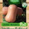 Meilleur Prix Garanti Castorama Graines De Courge Butternut Bio 7