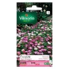 Castorama Graines De Ficoïde Tapis Magique Vilmorin boutique en france 5