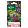 Nouveau Castorama Graines De Fleurs En Mélange Pour Bouquets Champêtres Vilmorin 5
