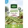 Castorama Graines De Haricot Nain Mascotte 10m Boutique officielle 5