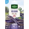 grande surprise Castorama Graines De Haricot Velour Violet 20m 5