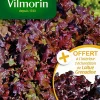 Castorama Graines De Laitue à Couper Salad Bowl Rouge Vilmorin jusqu'à 5