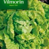 Castorama Graines De Laitue Grosse Blonde Paresseuse Vilmorin commentaire favorable 5