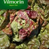 marque pas cher en ligne Castorama Graines De Laitue Pommée Brune D’Hiver Vilmorin 7
