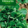 Castorama Graines De Mâche Verte De Louviers Vilmorin mode 7