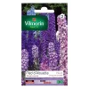 soldes officiel Castorama Graines De Pied D’Alouette Vivace Varié (Delphinium) 7