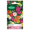 Castorama Graines De Pourpier Grande Fleur Double Varié Vilmorin Vente 7