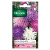 Castorama Graines De Reine-Marguerite Plume D’Autruche Variée Vilmorin boutique pas cher 7