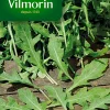 Castorama Graines De Roquette Cultivée Vilmorin shopping pas cher 7