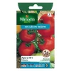 france en ligne Castorama Graines De Tomate Agora Hybride F1 5