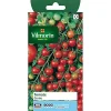 Large choix en ligne Castorama Graines De Tomate Cerise 5