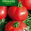 Nouvelle Collection Castorama Graines De Tomate Fournaise Hybride F1 Vilmorin 5