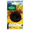 belle Castorama Graines De Tournesol Géant 7